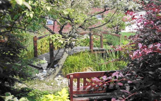 Absolutní vítězkou 1. ročníku soutěže Rozkvetlý Broumov se stala Jana Francová