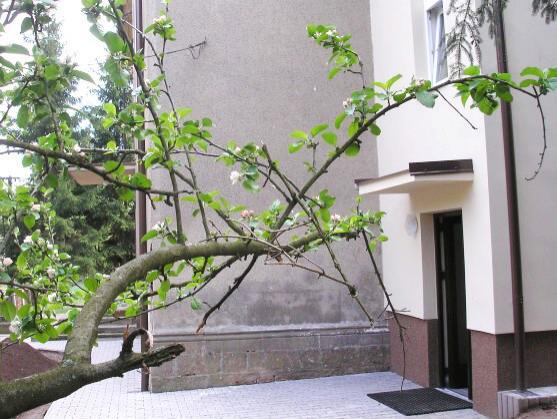 V Heřmánkovicích otevřeli nové Kulturní centrum Heřmánek 