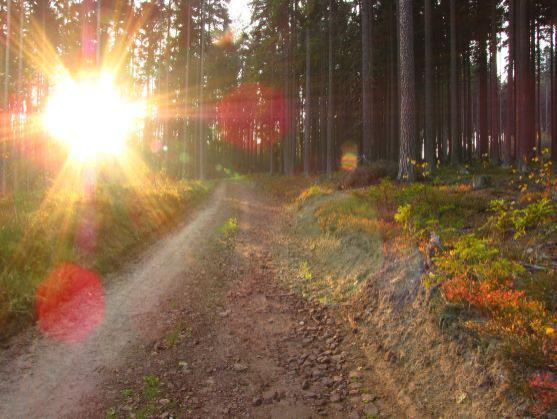 Fotoreportáž: Vzpomínka na barevný podzim