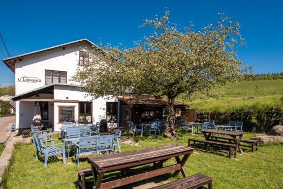 Jabloň z Machovské Lhoty je ve finále ankety Strom roku 