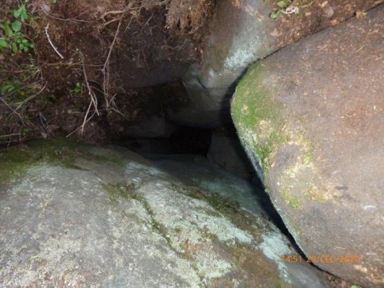 Hasiči zachránili v Broumovských stěnách psa 
