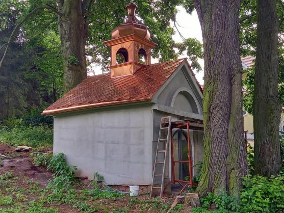 Vyrůstá do krásy téměř z popela 