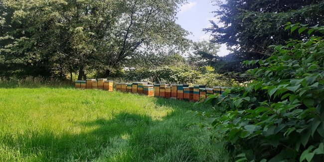 Pohádkové vodopády pod Hejšovinou