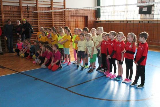 Barevní volejbalisté hráli v Novém Městě nad Metují