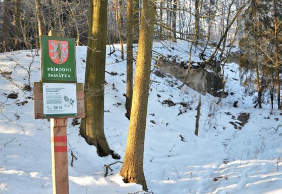 Zimní výšlap k Mořské transgresi