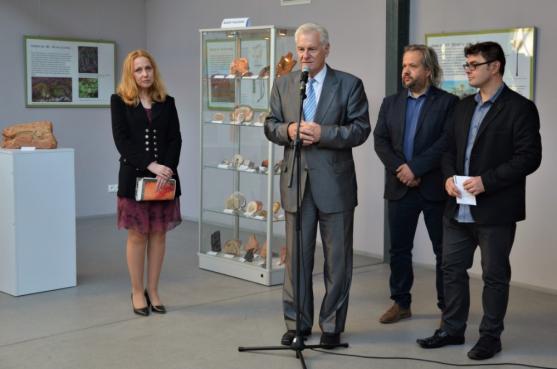 Výstava zkamenělých dřev AlekSandry Niemirowské