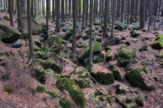 Z Bělého skalami na Junáckou vyhlídku