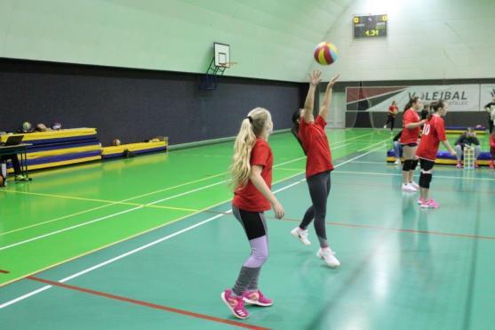 Lednové volejbalové akce