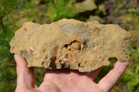 Z Adršpachu na kole k unikátním Čertovským skalám a stopám transgrese křídového moře