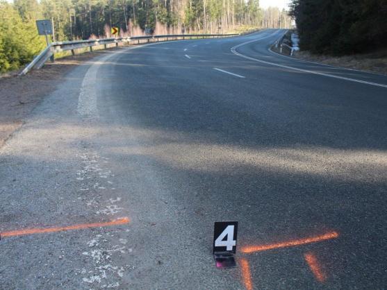 Snažil se ujet policii, ale skončil ve stromě. Po zadržení odmítl test na drogy