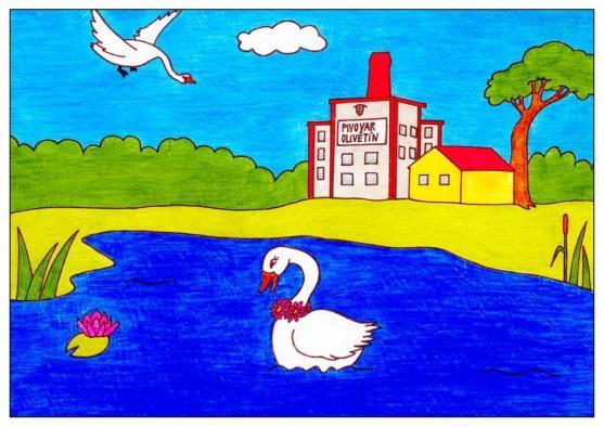 Originální omalovánky Labutí příběh z Broumova vydalo a prodává IC Broumovska