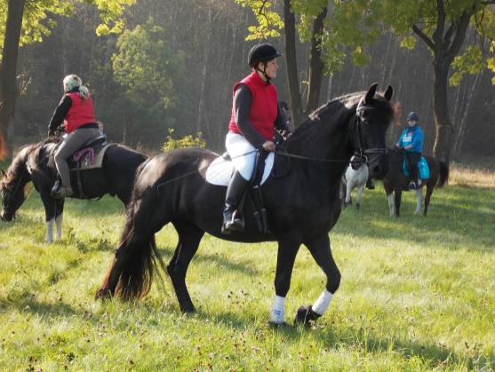 Všichni přátelé koní zvou na tradiční Hubertovy jízdy 