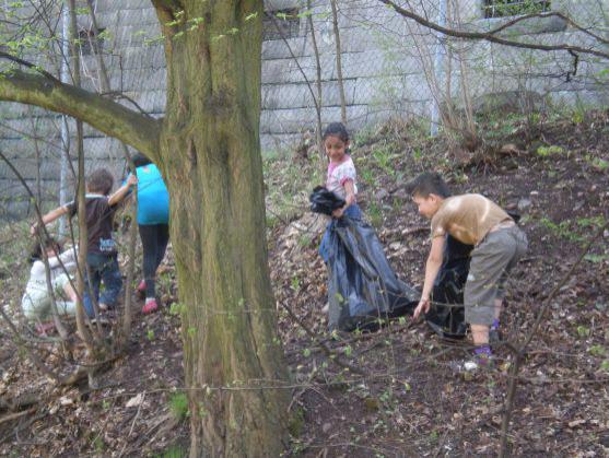 Broumovsko je po víkendovém úklidu o trošku čistější
