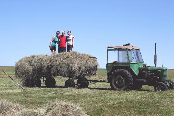 Broumovsko zaplnilo 150 mladých dobrovolníků ze SummerJobu. Zadarmo zde pomáhali domácnostem i obcím