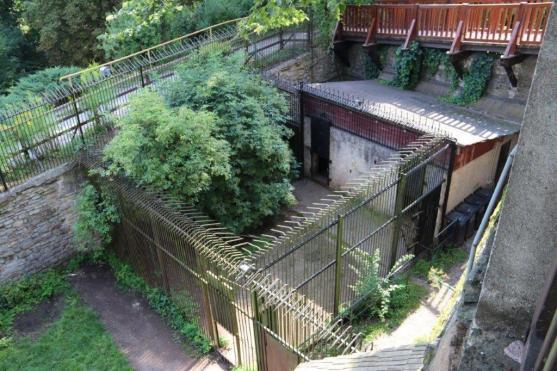 Ludvík a Dáša se musí hýbat - náchodským medvědům se změnilo krmení