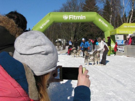Změna místa závodům psích spřežení neuškodila. Naopak!