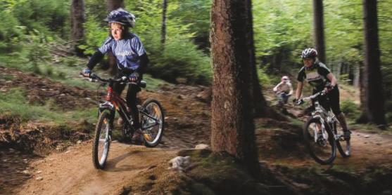 Singltrek Javoří hory jde ve stopách stejného projektu Singltrek pod Smrkem, který byl zařazen mezi sedm nejlepších světových destinací pro terénní cyklistiku