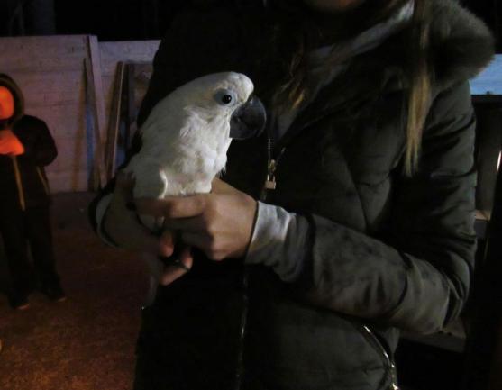 Silvestrovské ohlédnutí za zásahy hasičů v Královéhradeckém kraji v roce 2017