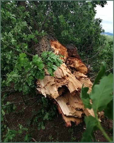 Jakou cenu mají lidské životy?