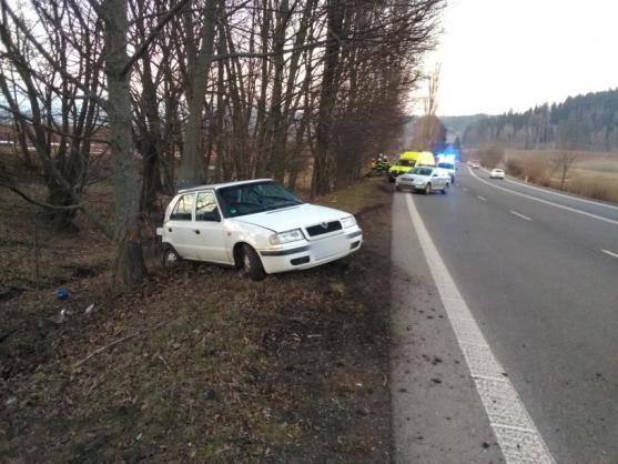 "Tragickým následkům dopravních nehod nejlépe zabrání prevence, nikoliv plošné kácení stromů," tvrdí nezisková organizace Arnika