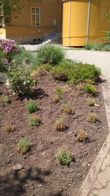 Vyřešené sousedské problémy