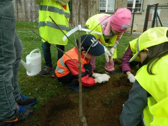 Děti z jetřichovské školy se připojily k jarnímu úklidu Broumovska