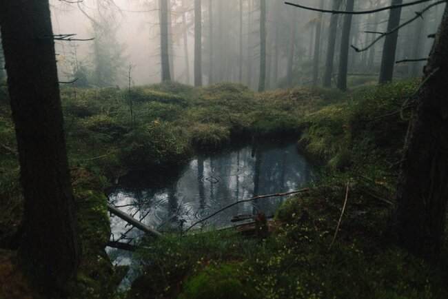 Podzimní fotosoutěž už má své vítěze!