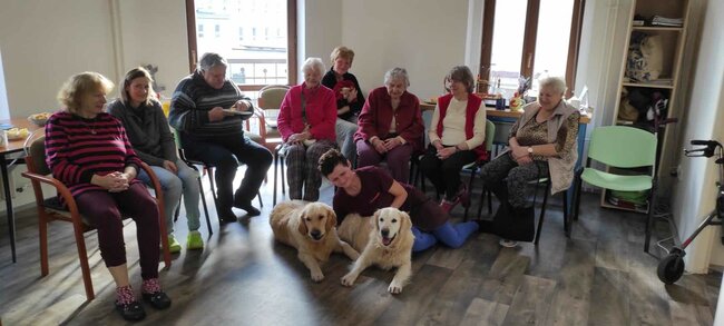 Stacionář Stěnava: Místo, kde je radost pobejt
