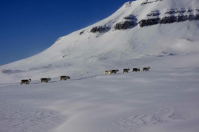 Moc šancí nám nedávali