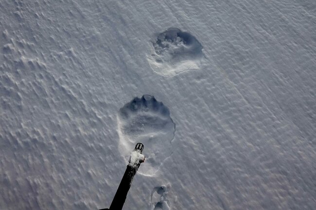 Moc šancí nám nedávali