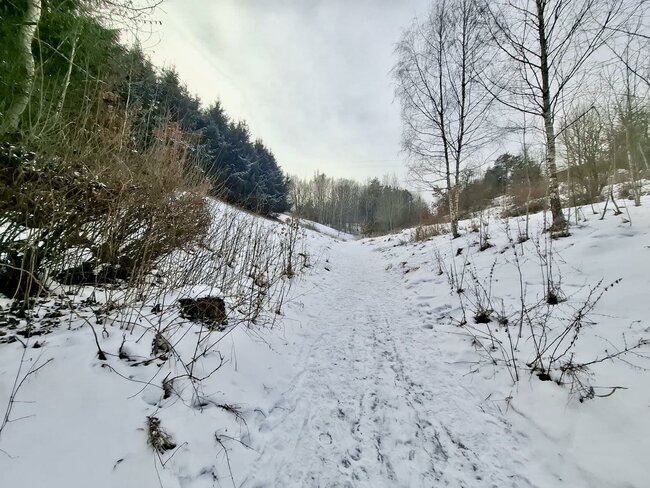 Kolem Meziměstí – za koníky kamennými i skutečnými