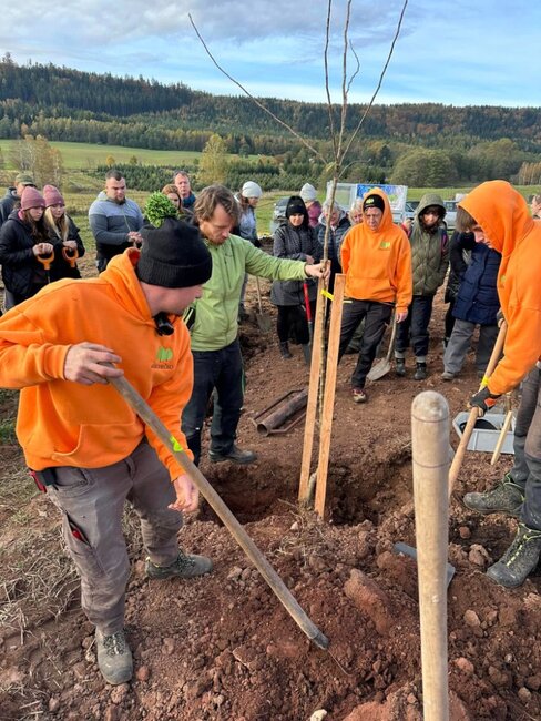 Podzimní sázení ve Vernéřovicích: téměř stovka ovocných stromů