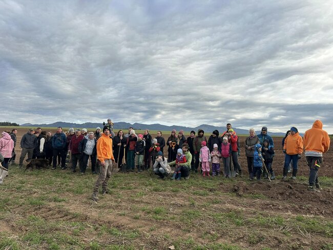 Podzimní sázení ve Vernéřovicích: téměř stovka ovocných stromů