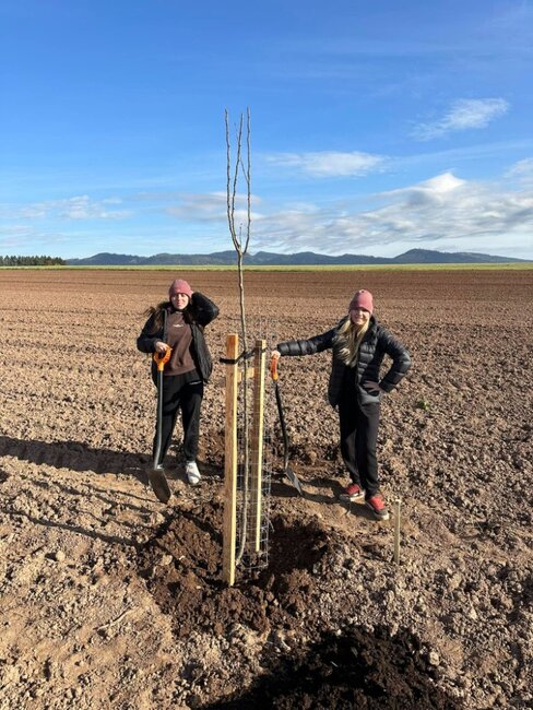 Podzimní sázení ve Vernéřovicích: téměř stovka ovocných stromů