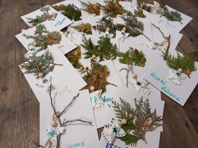 Studenti gymnázia začali s pravidelnými návštěvami ve stacionáři Stěnava