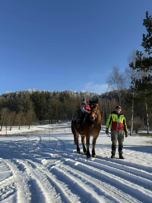 OBRAZEM: Titul Dřevorubce roku putuje na Slovensko