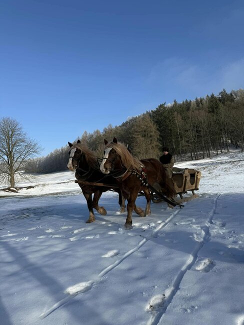 OBRAZEM: Titul Dřevorubce roku putuje na Slovensko