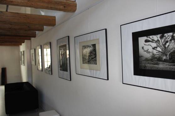 Stovky lidí si přišly prohlédnout otevřenou budovu Café Herzog