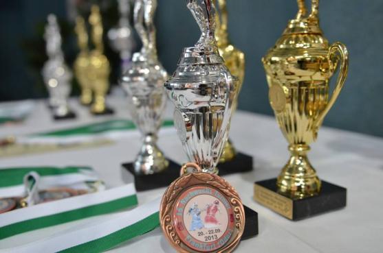 Boxer Šuda získal stříbrnou medaili v německém Frankfurtu