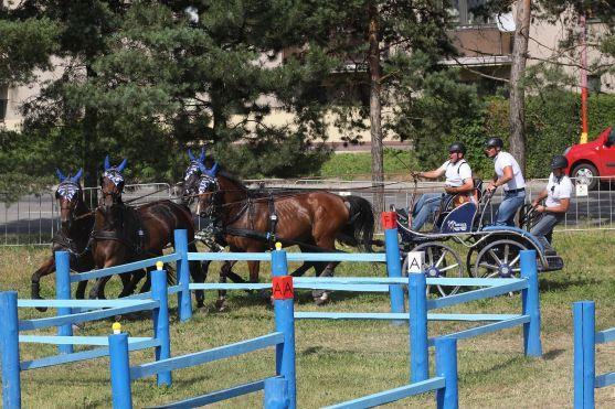 Staronoví mistři opratí z Police nad Metují