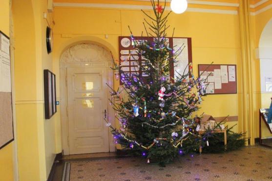 Fyzikální a chemické pokusy, morče a šneci, hudební produkce...Takový byl den otevřených dveří na Gymnáziu Broumov