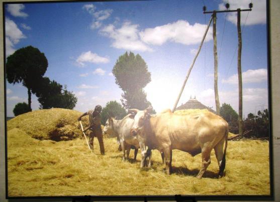 Výstava fotografií z Etiopie v olivětínském pivovaru