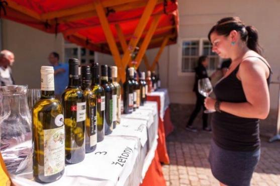 Vinum et Cetera nabídne skvělá vína, hudbu, prohlídky kláštera i středověké písárny