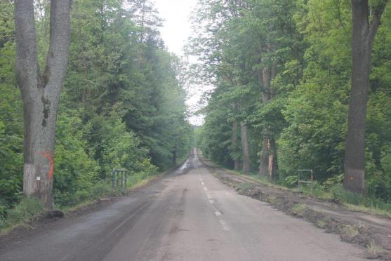 Za deset týdnů se z Broumova bude jezdit po nové silnici. Náklady na rekonstrukci jsou nižší
