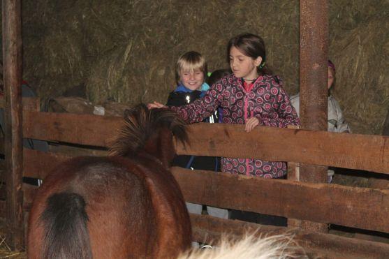 Za vysvědčení Den na koni