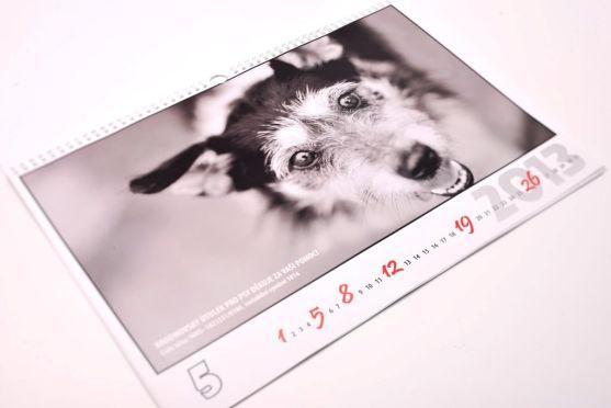 Prodej kalendáře podpoří útulek pro psy v Broumově