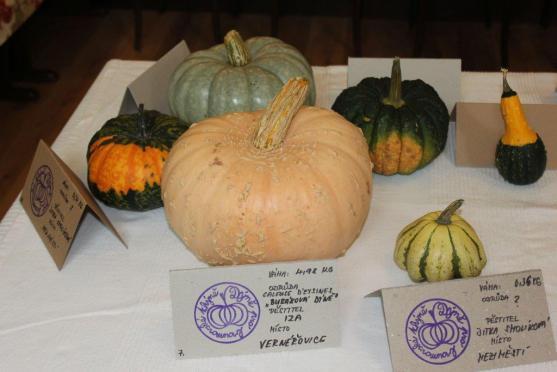 Na Dýňových slavnostech v Centru Walzel předvedly kuchařky svoji nekonečnou fantazii