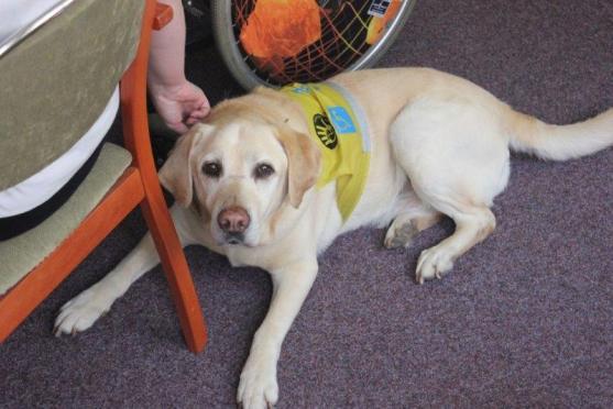 V Broumově se lidi nemusí bát stárnout. Pečovatelská služba je zde jedna z nejlepších v republice