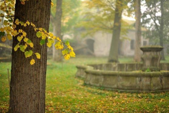 Broumovská klášterní zahrada slaví deset let