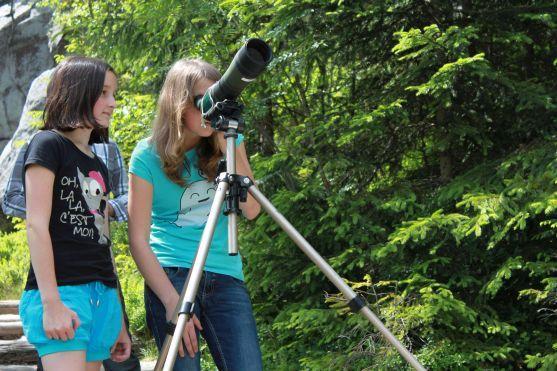 Začalo pozorování hnízdících sokolů v Teplických skalách